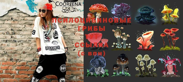 a pvp Алексеевка