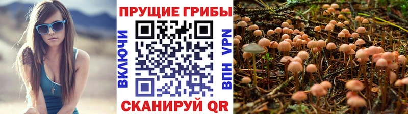 Псилоцибиновые грибы Magic Shrooms Микунь